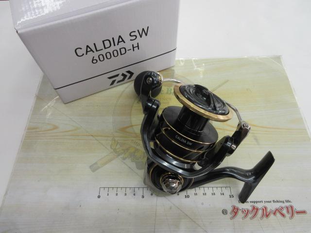 22カルディアSW 6000D-H