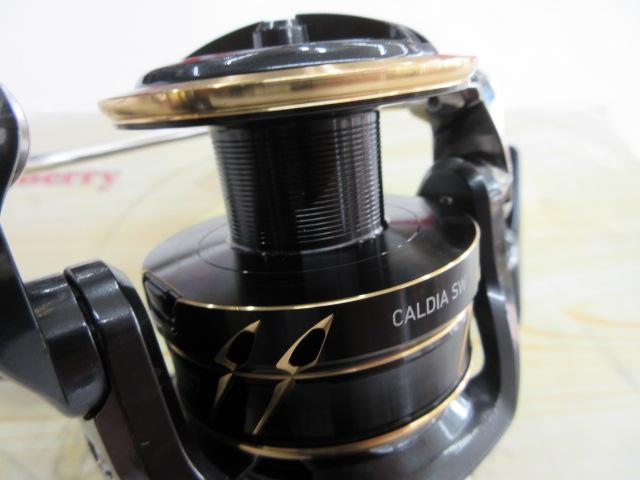 22カルディアSW 6000D-H