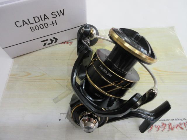 22カルディアSW 8000-H