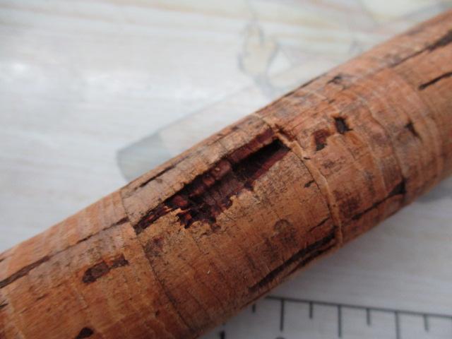 チームダイワLT TL-F8116