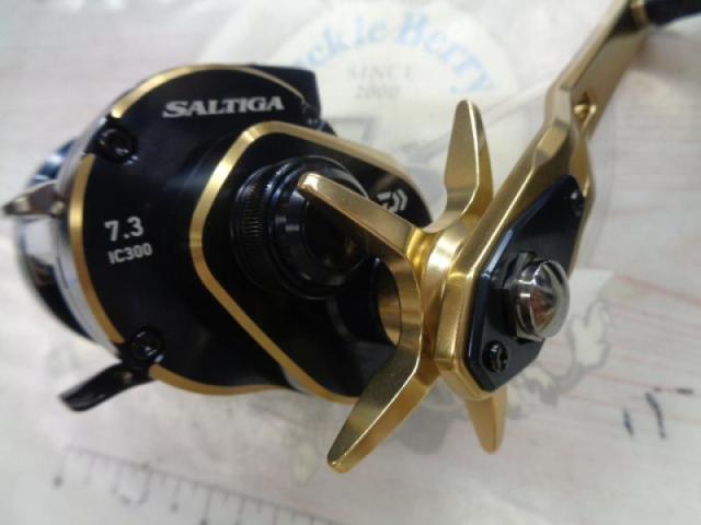 21ソルティガIC 300H-SJ