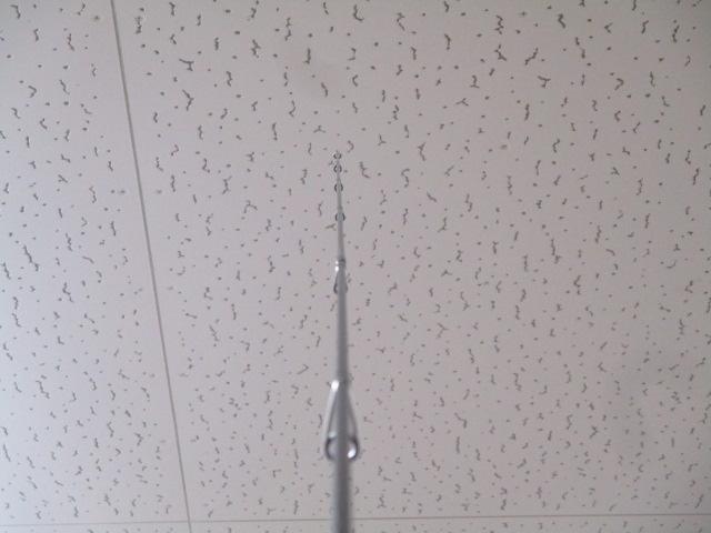 999.9フォーナインマイスター 633ML ゴールドウルフLTD