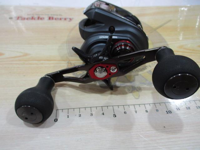 キャタリナIC 100SHL