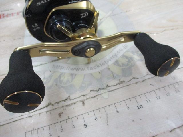 21ソルティガIC 100P-DH