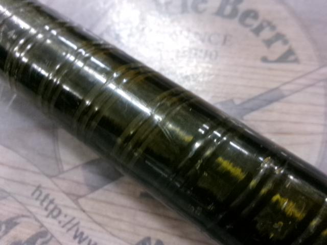 インストラクター鮎95室田バージョン