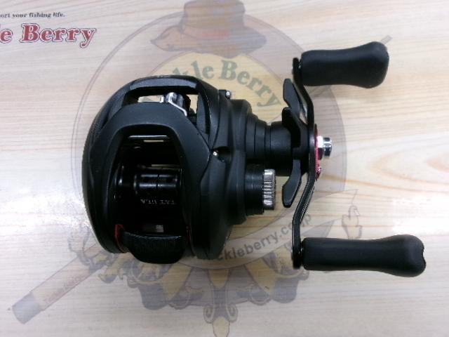 タトゥーラ TW 100SH