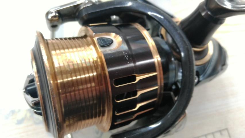 17セオリー 2508PE-DH