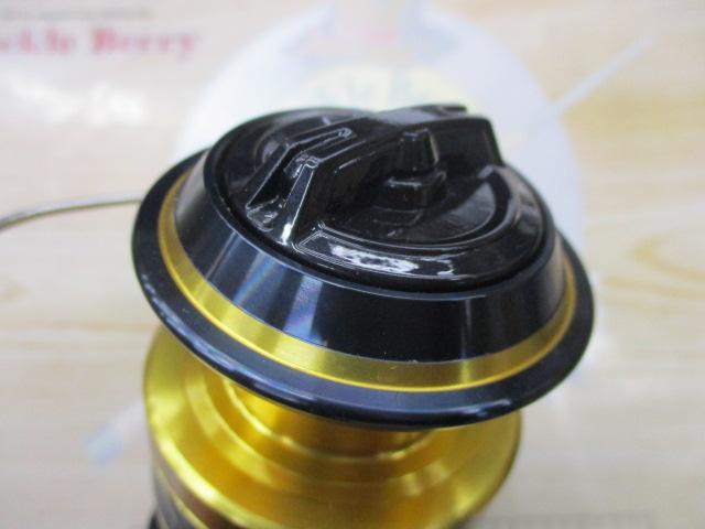 21スフェロスSW 6000PG