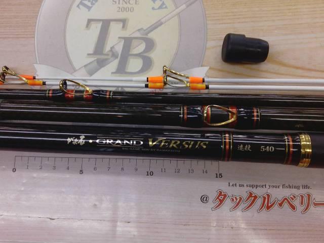 がま石グランドバーサス 遠投540