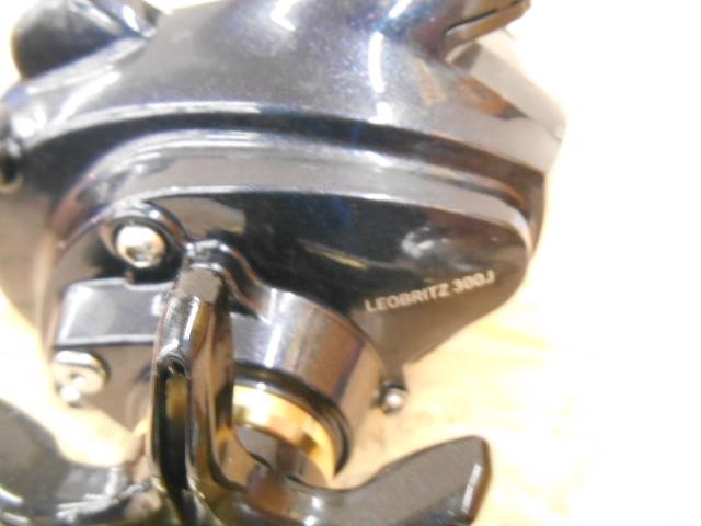 15レオブリッツ 300J