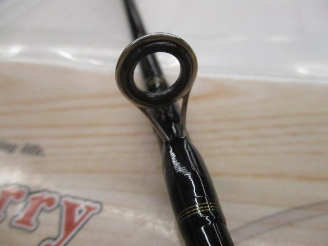 早舟V 120アオリ