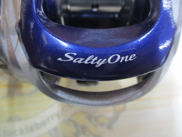 11ソルティーワンHG RH