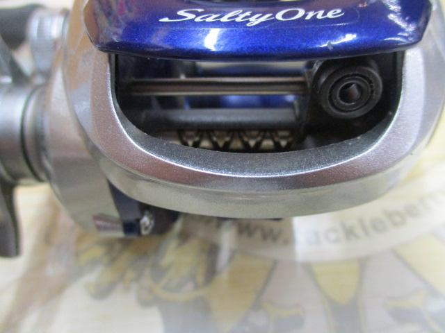 11ソルティーワンHG RH