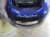 11ソルティーワンHG RH