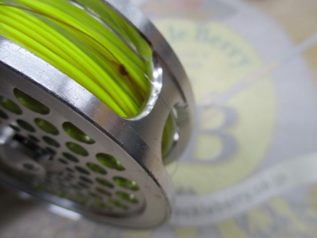 サセックス 67 シルバー