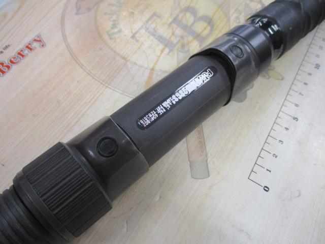 鯉スペシャル520アラミカ