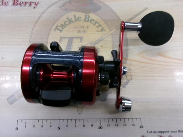 17ダイナスター 250