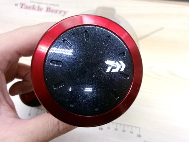 17ダイナスター 250