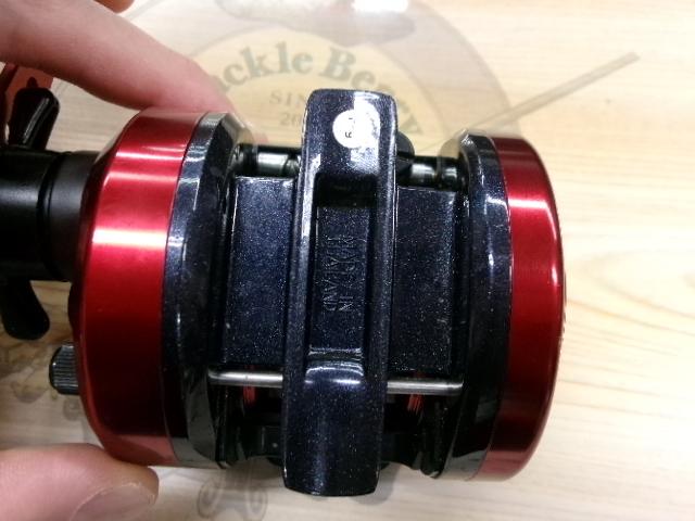 17ダイナスター 250