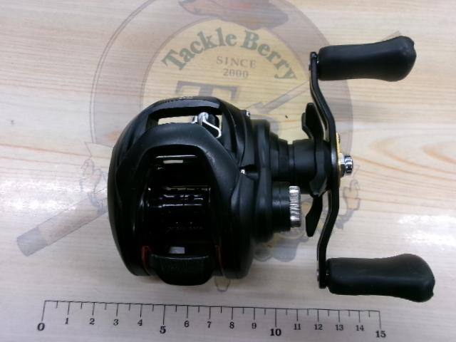 タトゥーラ TW 100H