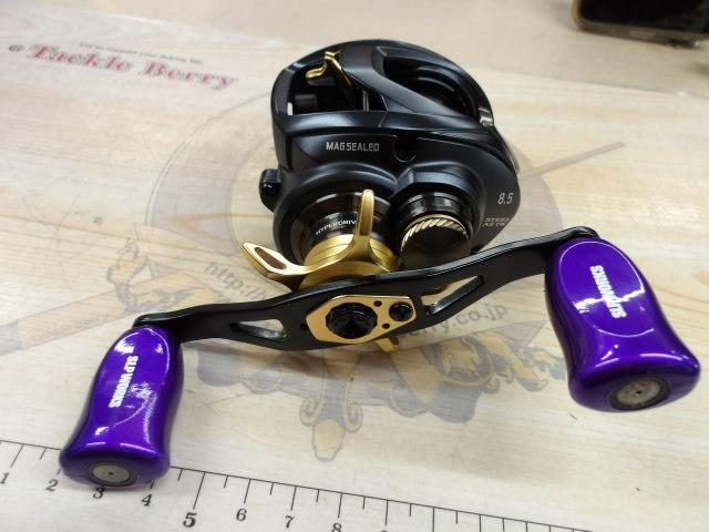 スティーズ AⅡ TW 1000XHL