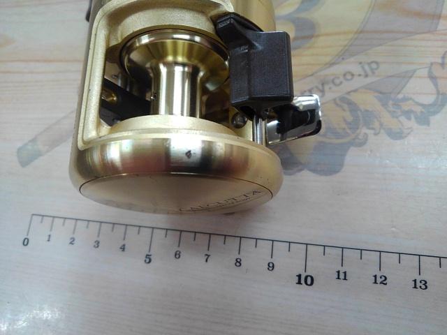 カルカッタチヌ 1000