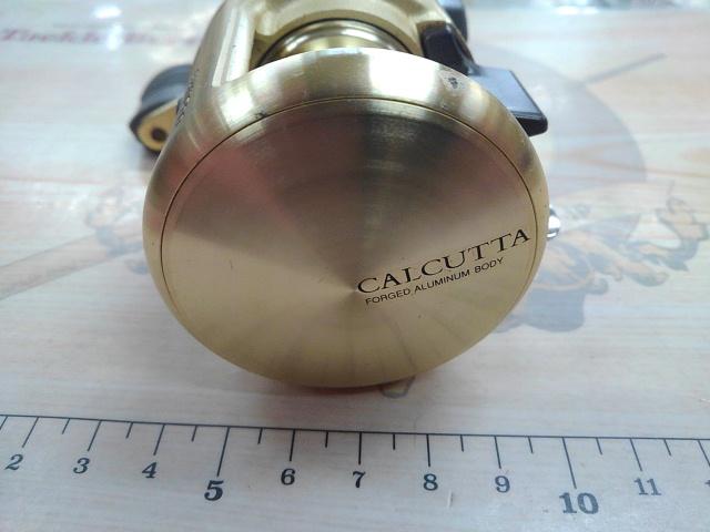 カルカッタチヌ 1000