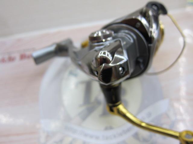16BB-Xデスピナ C3000DTG
