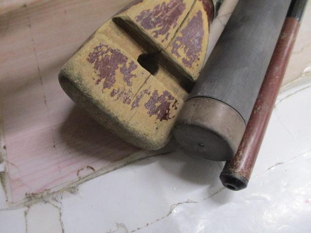 エックスライン海魂 17