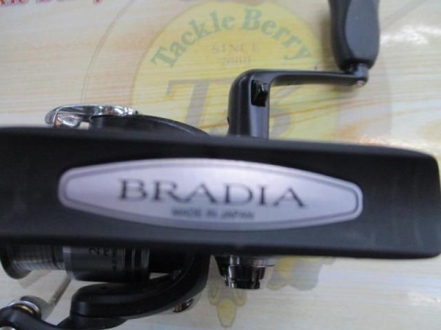 ブラディア 2004