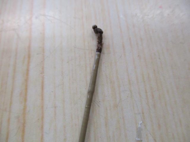 朱紋峰 飛ぬけ 15