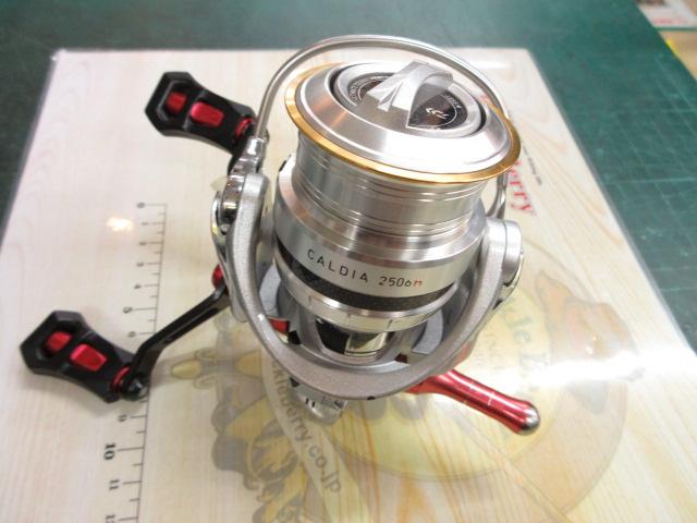 11カルディア 2506H