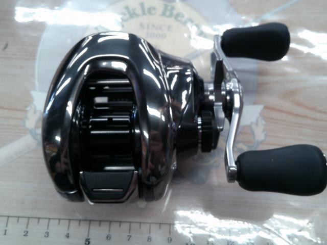 25アンタレス 100HG