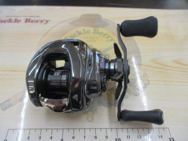 24スティーズ SV TW 100XH