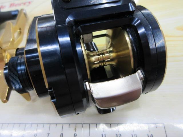 21ソルティガIC 300HL-SJ