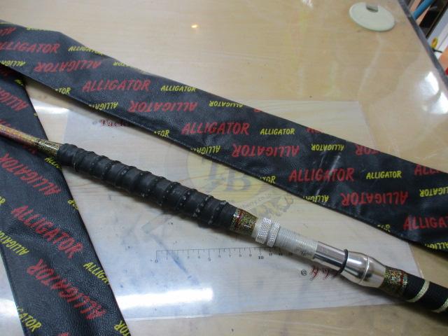 リュウグウ 30-250 Kガイド