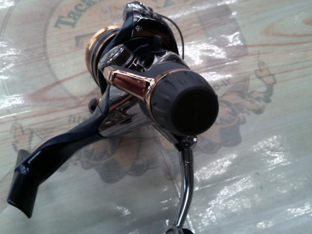 13アオリスタBB 2500