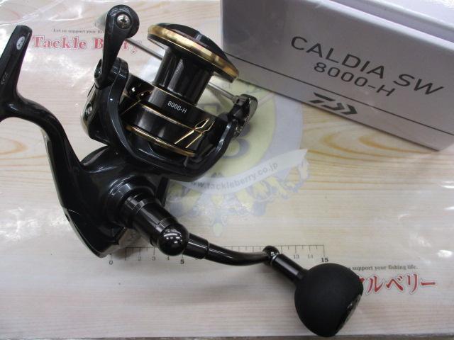 22カルディアSW 8000-H