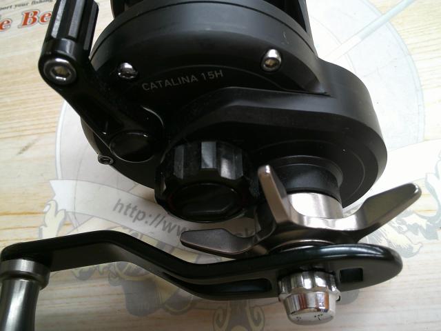 19キャタリナ 15H