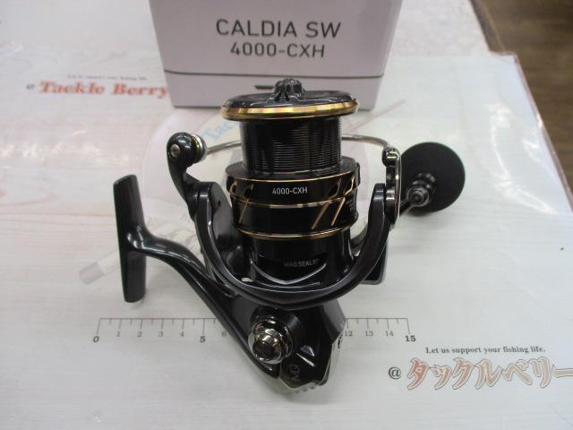 22カルディアSW 4000-CXH