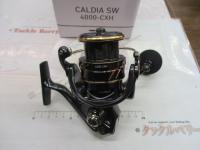 22カルディアSW 4000-CXH