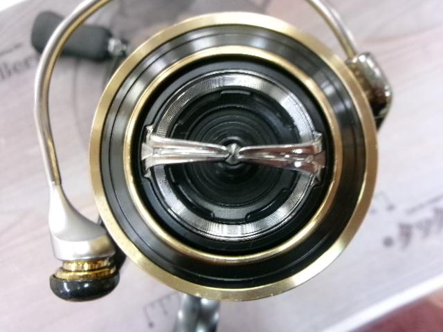 17セオリー 2506H