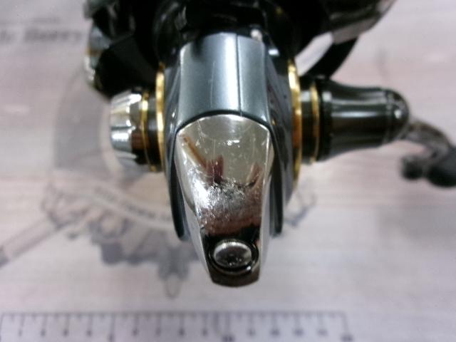 17セオリー 2506H