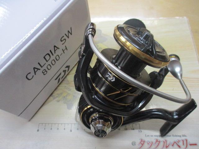 22カルディアSW 8000-H