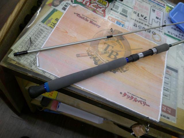 サーフスター SGP-96L