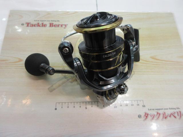 22カルディアSW 6000S-H