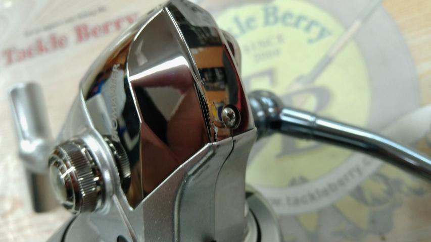 13バイオマスターSW 10000HG