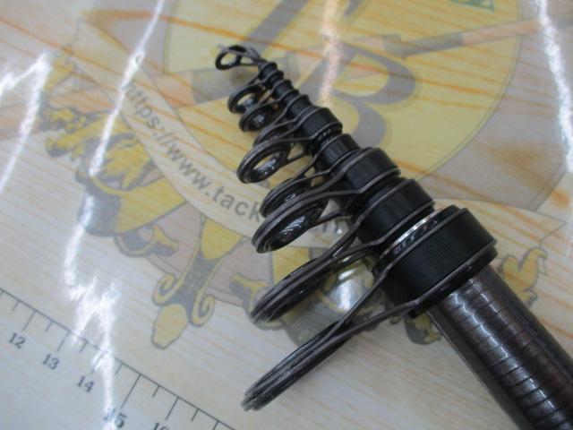 磯遠投EV 2-520PTS