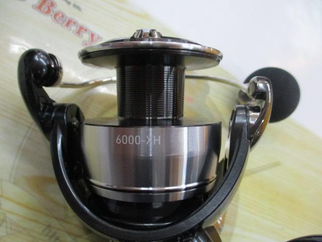 24セルテートSW 6000-XH