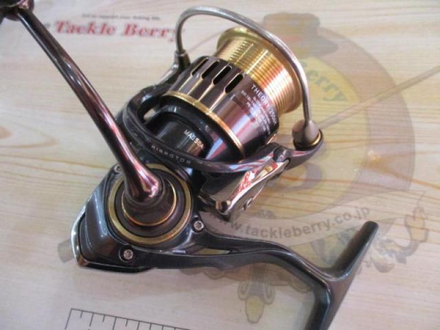 17セオリー 2506H